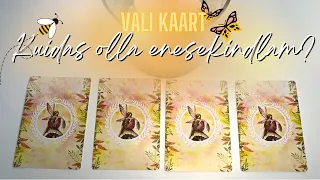 Kuidas tõsta enda enesekindlust ? 💛💫🐝 (VALI KAART)