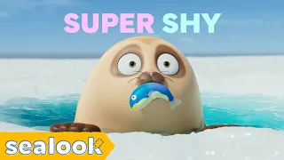 Super Shy Seals😳ㅣSEALOOKㅣEpisodes Compilation