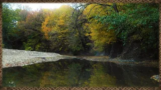 Звуки природы. Тихая горная река в золотую осень. Шум воды для релаксации, сна и отдыха 1,5 часа.