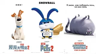 《爱宠大机密2》The Secret Life of Pets 2  爱宠救世界版预告片