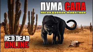 Red Dead Online самые сложные ЛЕГЕНДАРНЫЕ ЖИВОТНЫЕ