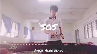 Avicii, Aloe Blacc - SOS (Xylophone Cover)