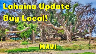Lahaina Maui Update Buy Local Maui Historic Lahaina Banyan Tree Maui Gift & Craft Fair. Massage Shop