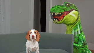 Puppy vs Dinosaur Prank! Cute Puppy Indie Battles Dinosaurs