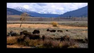 Lecture: "The Last of the Buffalo" with Peter Hassrick