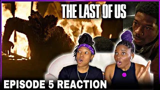 Heartbreaking! The Last of Us Episode 5 ‘Endure and Survive’ Reaction