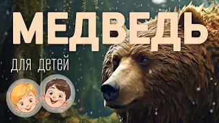 Медведь. Видео про животных для детей 3+