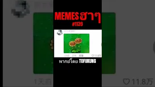 memes ฮาๆตอนที่1139 #พากย์ไทย #meme #memes #memeไทย #พากย์นรก