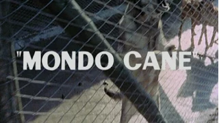 MONDO CANE