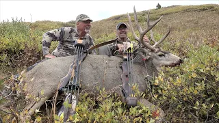 "Stalking High Country Giant Mule Deer With Traditional Bows"
