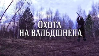 Охота на вальдшнепа с ИЖ-27