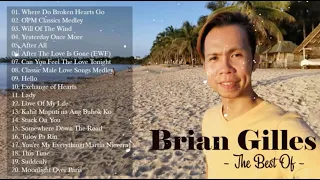 Brian Gilles best covers vol 2