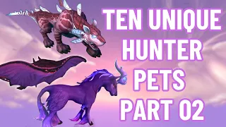 10 Unique Hunter Pet Tames | 4k World of Warcraft | Dragonflight