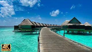 Relaxing walk at Joali Maldives - 4K with soothing music