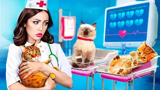 Sauvetage Extrême d'Animaux à L'hôpital! Une Chatte a Donné Naissance à des Chatons!