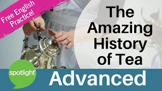 The Amazing History of Tea | ADVANCED | practice English with Spotlight