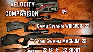 Gamo Swarm MAGNUM vs WHISPER... Velocity test!  .22 LR vs .22 short vs Magnum and Whisper!!!