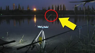 Какие рыбы ночью ловятся крупнее и лучше?