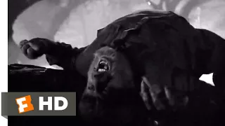 The Wolf Man (1941) - Bear Trap Scene (6/10) | Movieclips