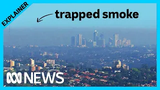 Here's why Sydney (and other cities) become blanketed in smoke | ABC News In-depth