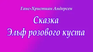 Ганс Христиан Андерсен Сказка "Эльф розового куста"