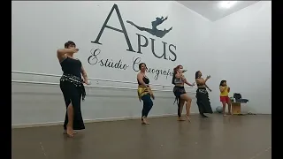 Dança do ventre - Zona de Perigo (Leo Santana) - Estúdio Apus Ibaté