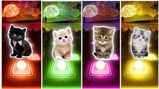 CUTE CATS WEDNESDAY LADY GAGA BLOODY MARY BLACKPINK LISA MONEY vs JISOO FLOWER KITTY | Tiles Hop