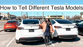 Which Tesla Model Is It? S3XY?