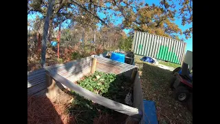 Pine Needle Mulch For Strawberries