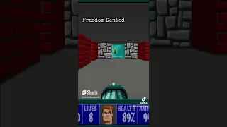 Freedom Denied - Wolfenstein 3D