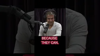 EVERYONE CAN BE RICH. Joe Rogan & Naval Ravikant discuss how.