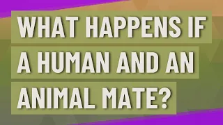 What happens if a human and an animal mate?