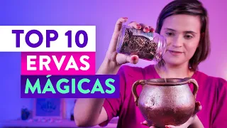 TOP 10: Minhas Ervas Mágicas Favoritas