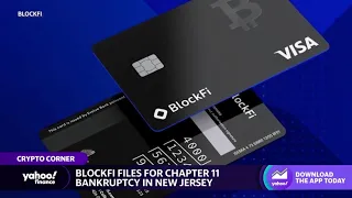 Mobius Capital co-founder expects bitcoin to fall to $10,000, BlockFi files for Chapter 11