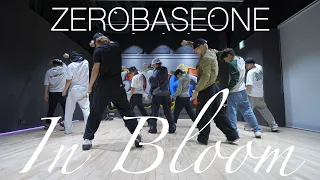 제로베이스원(ZEROBASEONE) - In Bloom 안무가 버전 시안 영상 | 위댐보이즈 Original Choreographer's demo