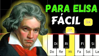 PARA ELISA BEETHOVEN - TUTORIAL PIANO FÁCIL - NOTAS DE PIANO