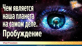 Чем является наша планета на самом деле. Пробуждение. Что такое душа. Урожай душ. Vlad Freedom