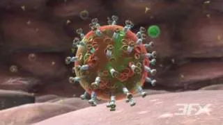 HIV Animation