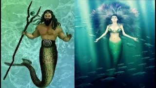 Types of Merfolk