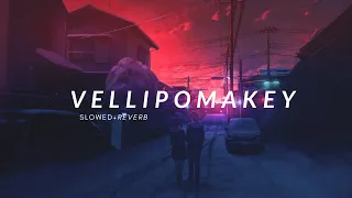 Vellipomakey Song ( Slowed + Reverb) with Lyrics | Saahasam Swaasaga Saagipo