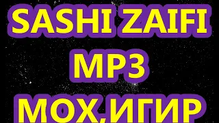 САШИ ЗАИФИ - МОХИГИР   SASHI ZAIFI MOHIGIR