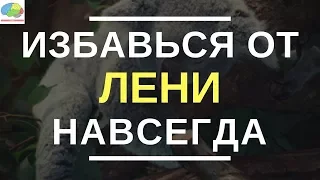 Нет Оправданий! Сила Самодисциплины   Брайан Трейси   Обзор Книги   Как избавиться от ЛЕНИ 1