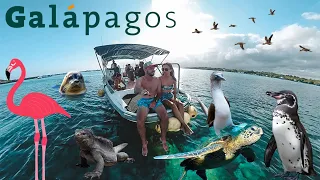 Romani, veniti in Galapagos! Uitati de Maldive si Dubai! Ce zi... 🌎