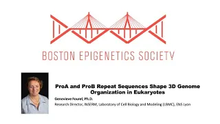 Boston Epigenetic Society (BES) May 2024 - Genevieve Fourel, Ph.D., INSERM - Lyon