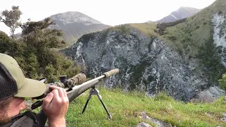 LONG RANGE HUNTING NEW ZEALAND | DAY ONE SNIPING FERAL PESTS IN EPIC COUNTRY | HUGE FALL FROM CLIFF!