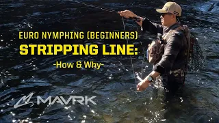 Euro Nymph Beginners - STRIPPING LINE-