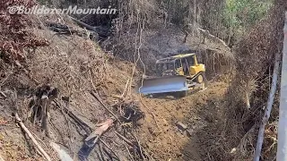 The CAT D6R XL Dozer Operator Doing an Excellent Job Of Constructing a Plantation Road