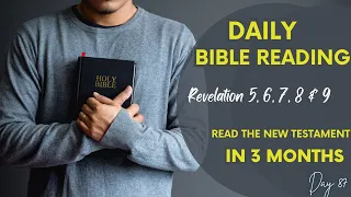 Daily Bible Reading: Read The New Testament in 3 Months - Day 87