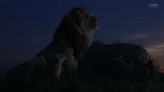 Lion King 2019 - Great kings of the past (Croatian)