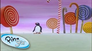 Pingu And The Giant Candy!🍭🍬@Pingu Cartoons For Kids